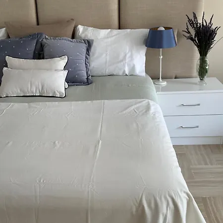 Gray D'albion Dutch Studio Appartement *